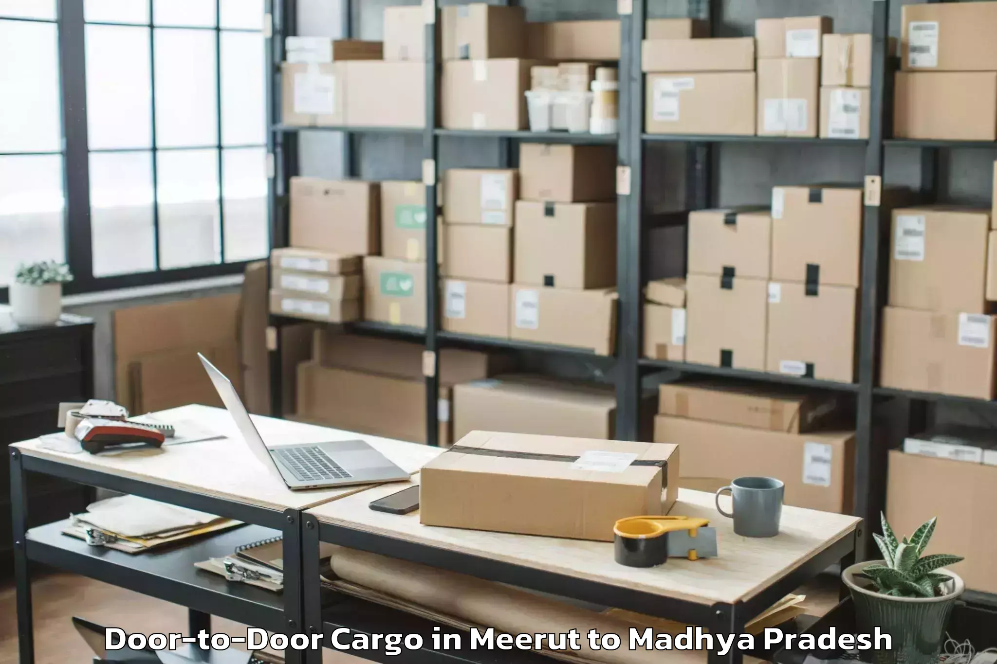 Leading Meerut to Datia Door To Door Cargo Provider